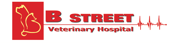 B Street Veterinary Hospital Home