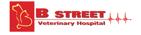 B Street Veterinary Hospital